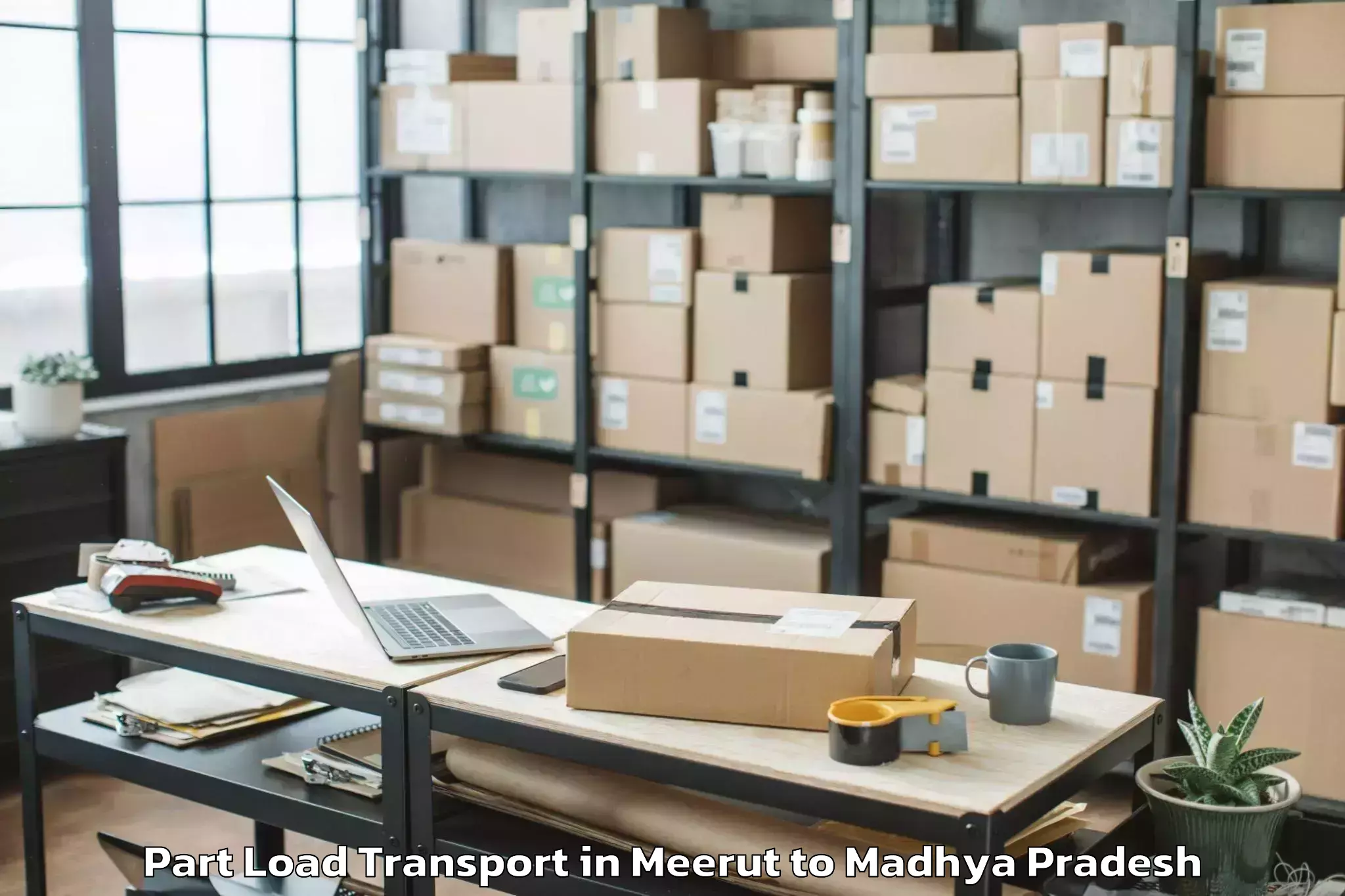 Book Meerut to Neemuch Part Load Transport